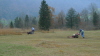 Streue-008